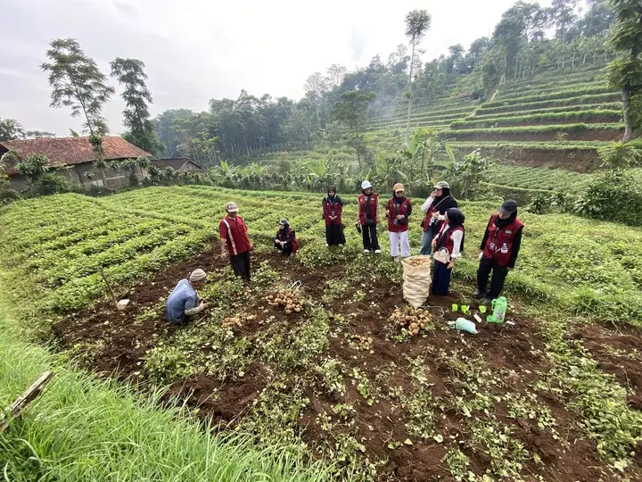 Artikel KKN Universitas Al Ghifari: Survei UMKM Kerupuk Kemplang dan Program Sapa Warga: Merajut Jejak Digital dan Kemanusiaan di Desa Baros