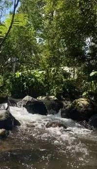 Artikel KKN Universitas Al Ghifari: Observasi Tempat Wisata Playground Nyampay dan Bermain Volly bersama Pemuda Setempat