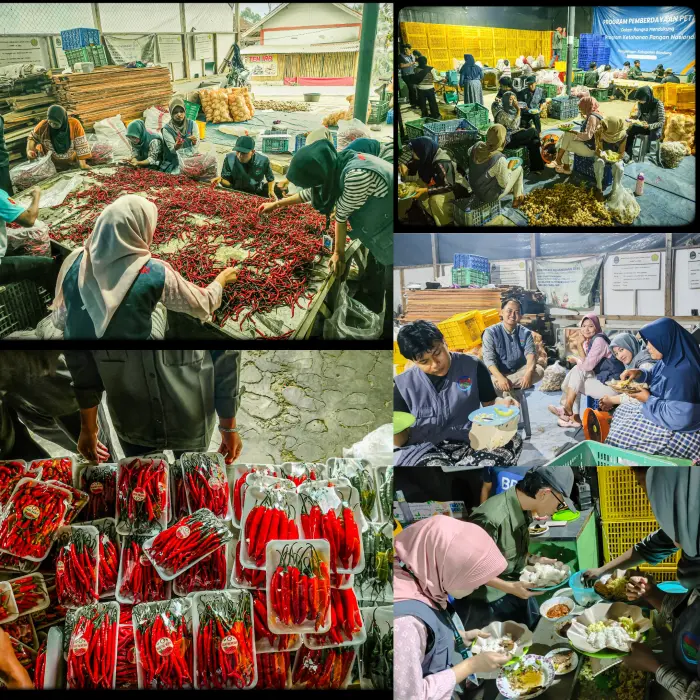 Artikel KKN Universitas Al Ghifari: Sinergi KKN Kelompok 27 Desa Warnasari: Bantu Sorting-Packing Sayur dan Kolaborasi Bersama Siswa PKL SMK SMK IT Bustanul Arifin Pertanian di Bernard Tani