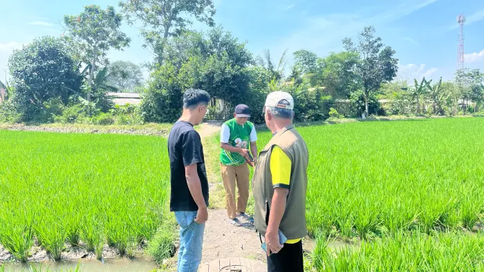 Artikel KKN UNFARI: KKN Sauyunan 38 Berpartisipasi dalam Pengukuran Jalan Desa sebagai Dukungan Perencanaan Pembangunan dari Kelompok SAUYUNAN 38