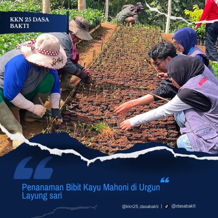 Artikel KKN Universitas Al Ghifari: Mahasiswa KKN 25 Dasa Bakti : Menanam Hari Ini, Menjaga Kehidupan Esok Melalui Penanaman Bibit Mahoni